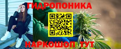 Альфа ПВП Славянск-на-Кубани