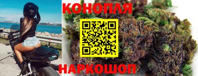 Альфа ПВП Славянск-на-Кубани