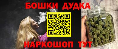 прущие грибы Сланцы