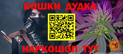 прущие грибы Сланцы