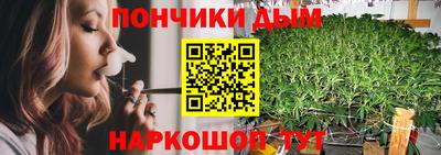 прущие грибы Сланцы